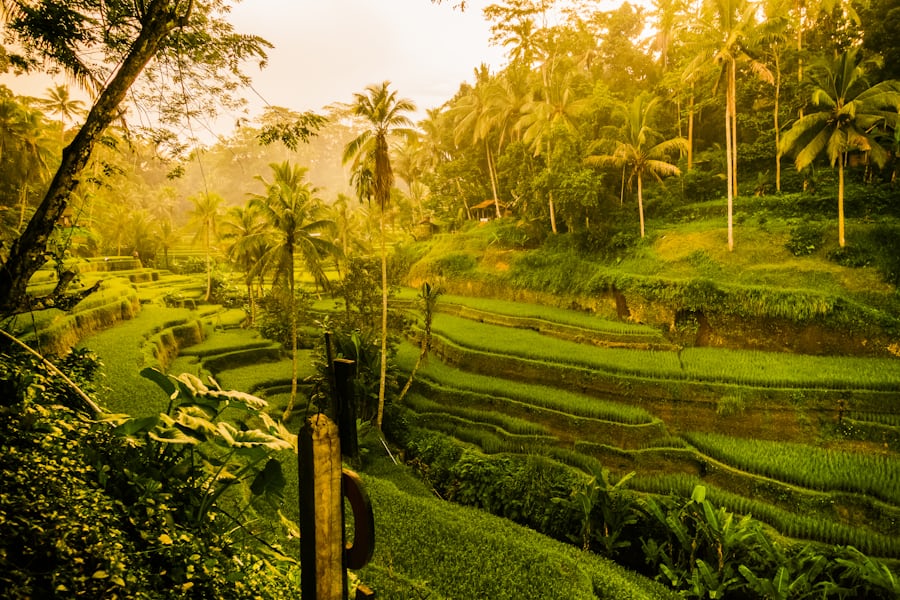 Bali Travel Itineraries