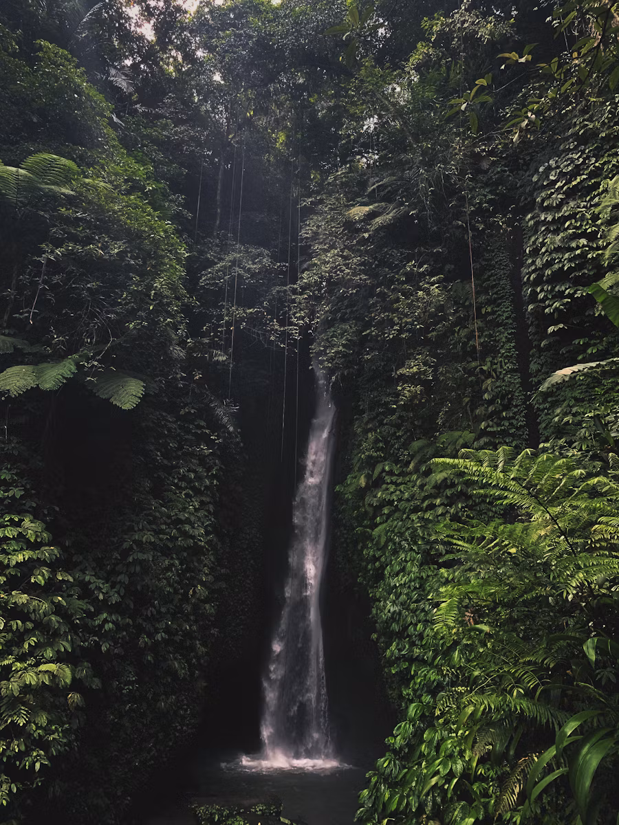 Leke Leke Waterfall nestled in a green canyon